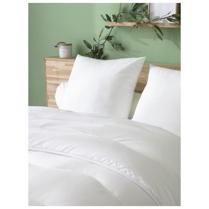 ABEIL Oreiller Relax 60 x 60 cm