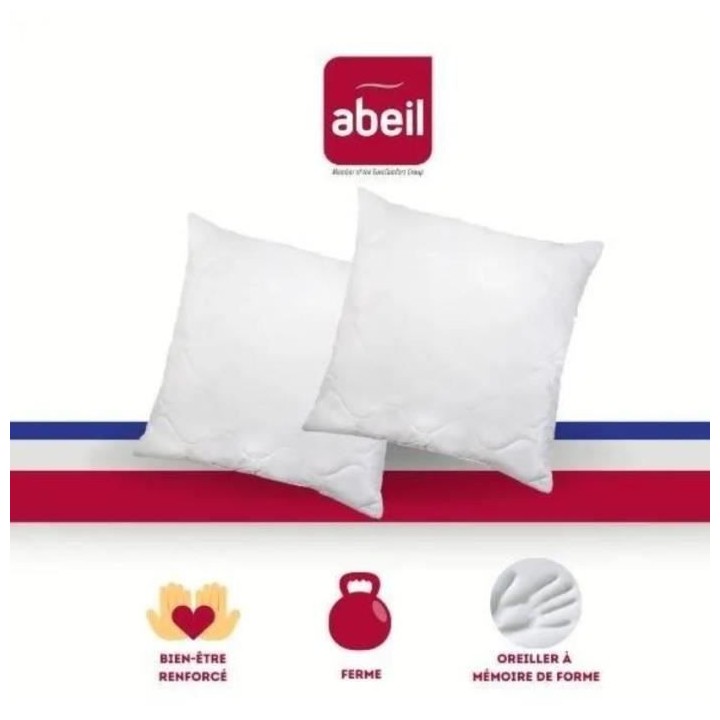 ABEIL Lot de 2 Oreillers a mémoire de forme matelassés- 60x60 cm - B