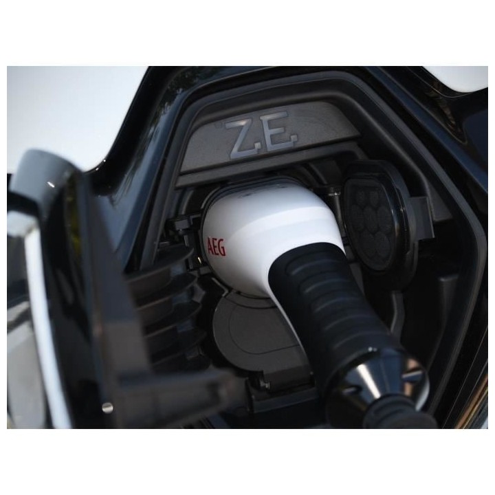 Chargeur batterie - BLACK DECKER - 201869 - Puissance maximale de char