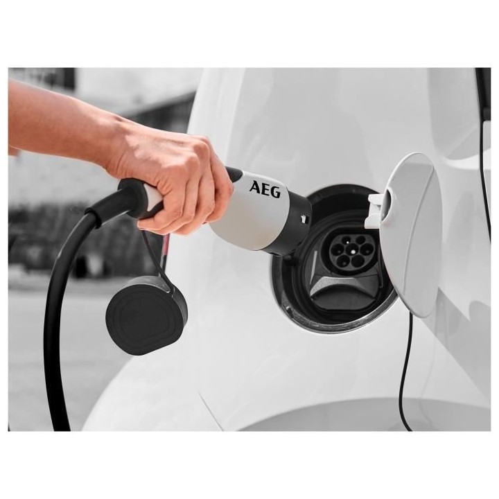 Chargeur batterie - BLACK DECKER - 201869 - Puissance maximale de char