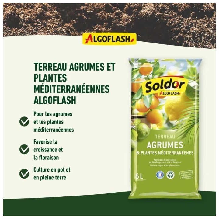 ALGOFLASH - Terreau Agrumes et Plantes Méditerranéennes 6 L