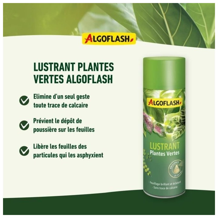 ALGOFLASH - Lustrant Plantes Vertes 250 mL