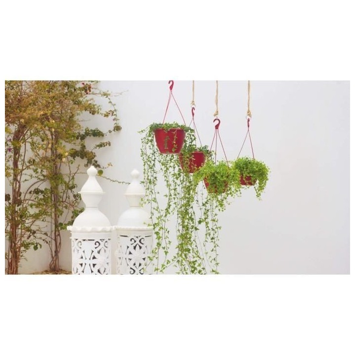 ARTEVASI Pot de fleurs suspendu Algarve - 8 L - 31 x 31 x 20,5 cm - Ro