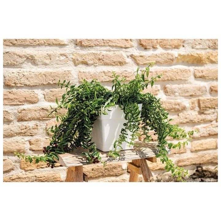 Pot de fleur - DEROMA - Quadro Save R - 31L - 35cm - Blanc