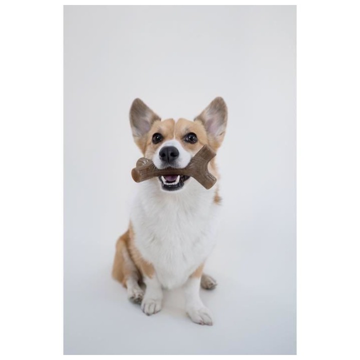 Benebone Jouet bâton a mâcher pour chien adulte, Taille L, saveur ba