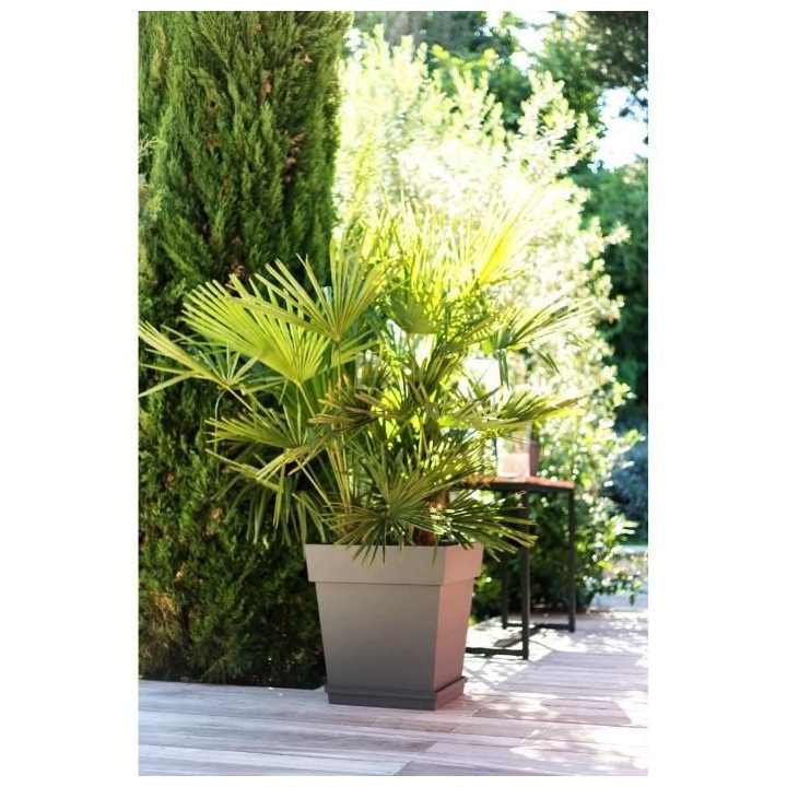 EDA Pot carré Toscane - 50 cm - 87 L - Taupe