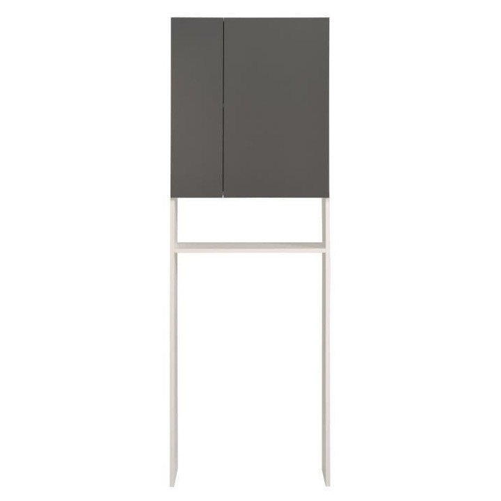EKIPA Entourage WC 2 portes - Gris ombre et blanc - L 60 x P 22 x 184