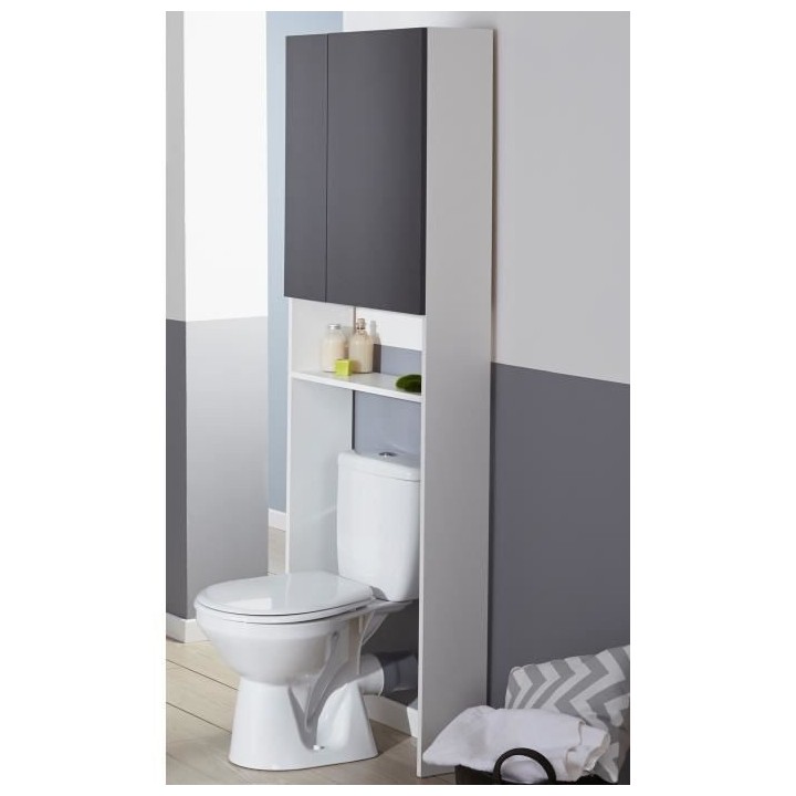 EKIPA Entourage WC 2 portes - Gris ombre et blanc - L 60 x P 22 x 184