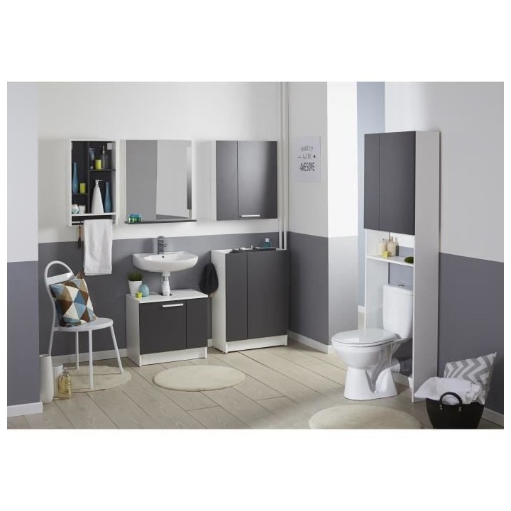 EKIPA Entourage WC 2 portes - Gris ombre et blanc - L 60 x P 22 x 184