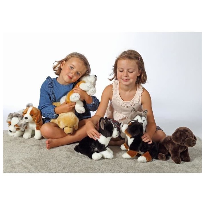 Gipsy Toys - Chien Berger Australien Assis - 25 cm - Blanc - Marron -