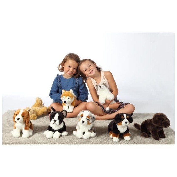 Gipsy Toys - Chien Berger Australien Assis - 25 cm - Blanc - Marron -