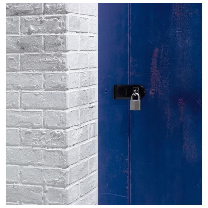 Cadenas en laiton nickelé 40mm - MASTER LOCK - Anse hexagonale - Haut