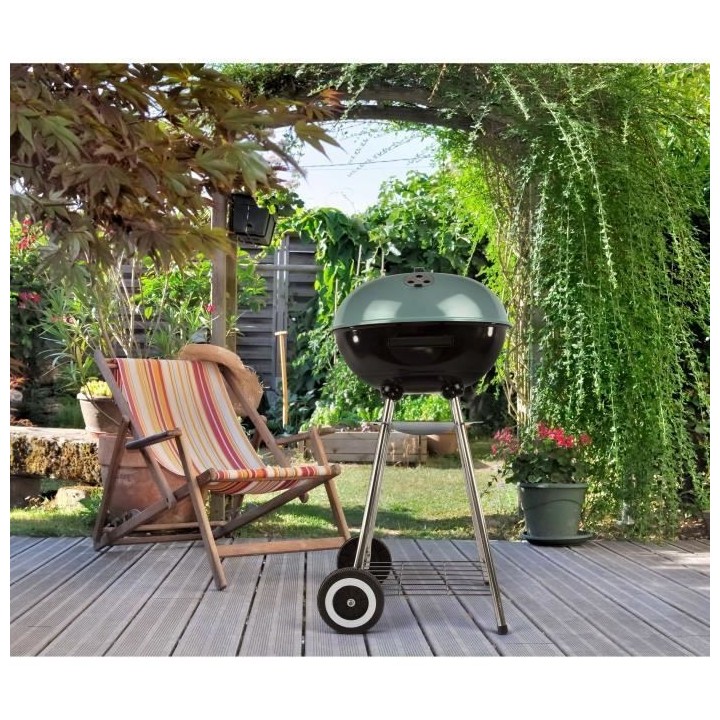 Barbecue a charbon - LIVOO DOC172VE - Acier émaillé - Surface cuisso