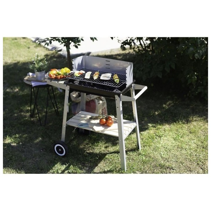 LIVOO Feel good moments - Barbecue charbon finition bois - Gris - Barb