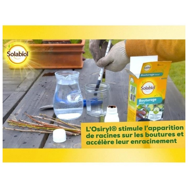 SOLABIOL SOBOUTU40 Bouturage Osiryl 40mL, Stimulateur racinaire