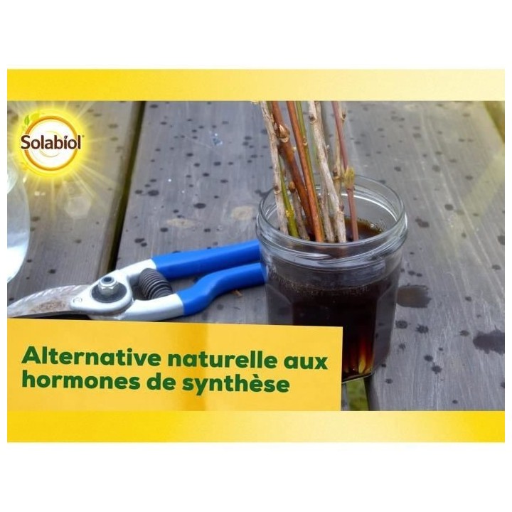 SOLABIOL SOBOUTU40 Bouturage Osiryl 40mL, Stimulateur racinaire