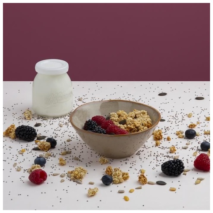 Yaourtiere 12 pots HKoeNIG