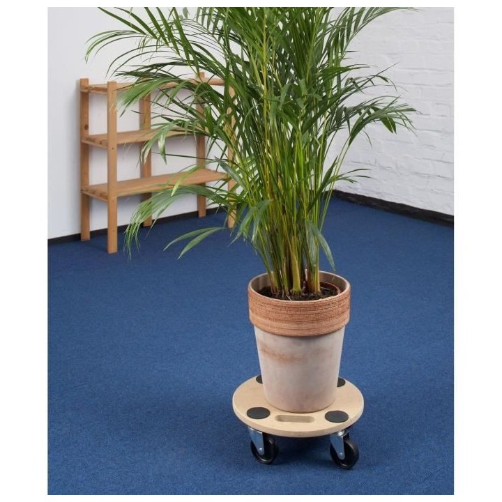 MEISTER Plateau roulant Ø 350mm 150kg