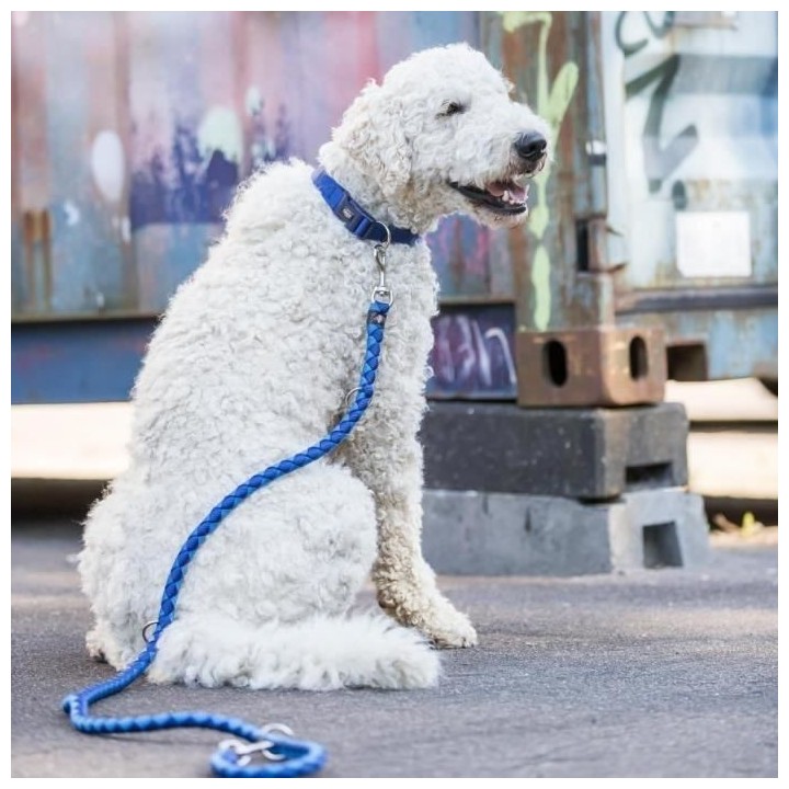 Laisse réglable TRIXIE Cavo - L–XL: 2m - ø 18 mm - Indigo et bleu