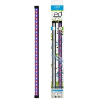 CIANO CLN5 rampe led blanche et RGB 1,5W + transfo pour nexus Betta Li