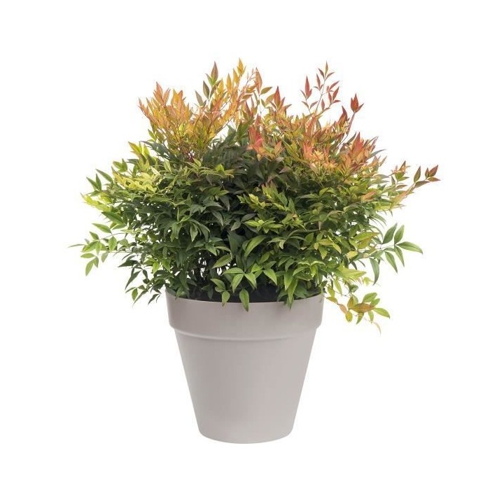 ELHO Pot de fleurs rond Loft Urban - Ø 30 cm - Gris anthracite