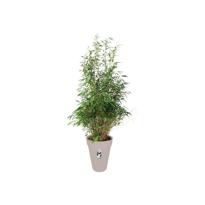 Pot de fleurs rond ELHO Loft Urban Haut 42 - Gris - Ø 42 x H 56 cm -