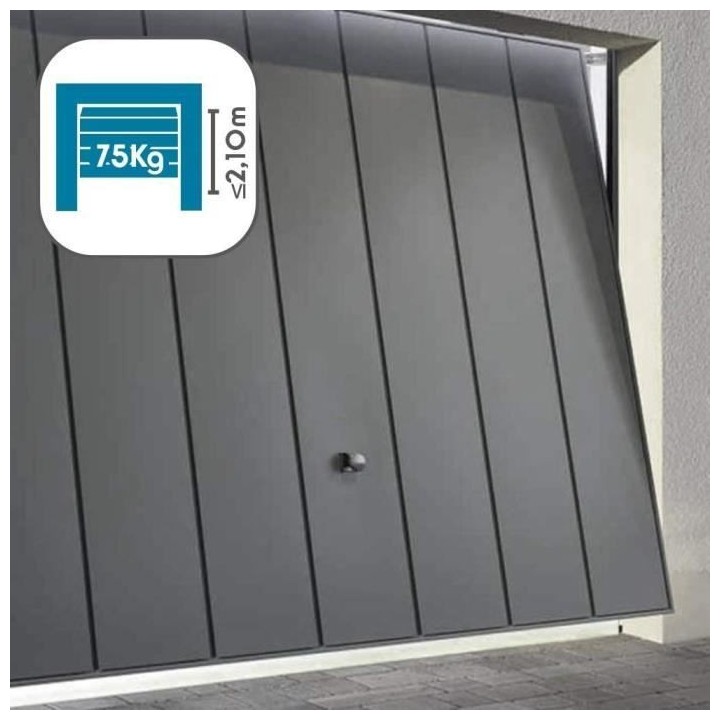 AVIDSEN Motorisation pour porte de garage basculante ou sectionnelle 2