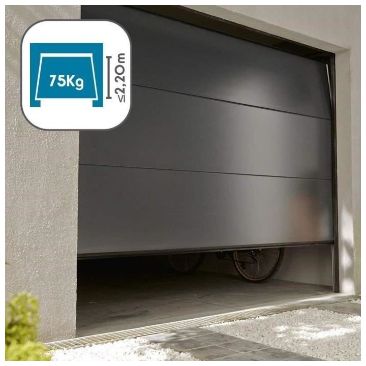 AVIDSEN Motorisation pour porte de garage basculante ou sectionnelle 2