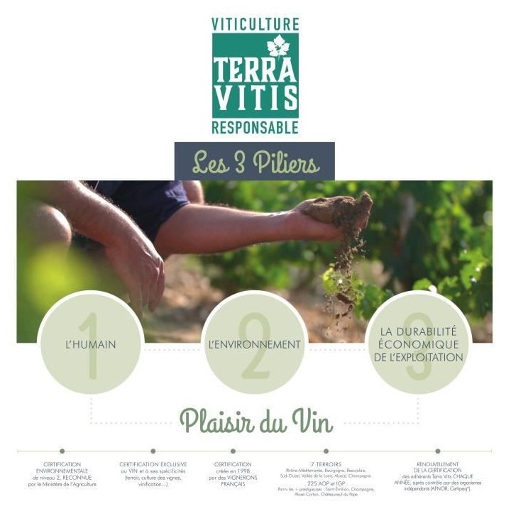 Baron de Lestac 2019 Bordeaux - Vin rouge de Bordeaux - Terra Vitis