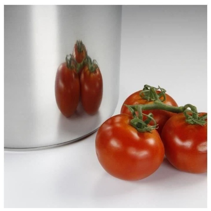 BAUMALU Traiteur inox + couvercle verre - 26 cm