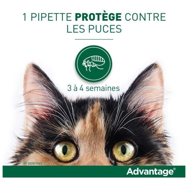 ADVANTAGE Solution Antipuce Chat Lapin +4kg 6 pipettes