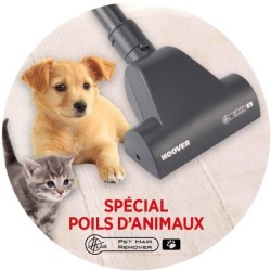 HOOVER Telios + TE70_TE75 Aspirateur traineau avec sac, Puissant 450 W, Ultra silencieux 66 db + Brosse Spécial animaux et parq