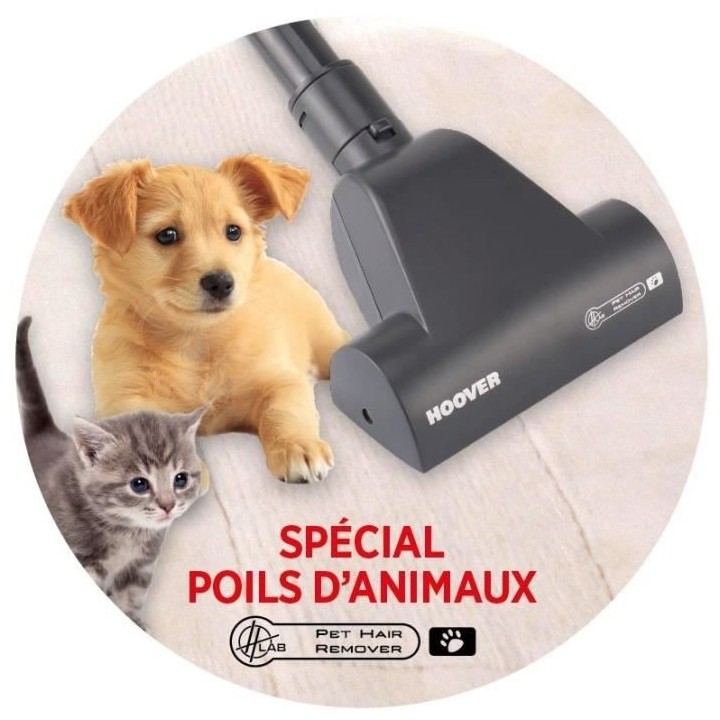 HOOVER RC81_RC25 Aspirateur Traineau sans sac, Puissant 800W, 75db, Pe