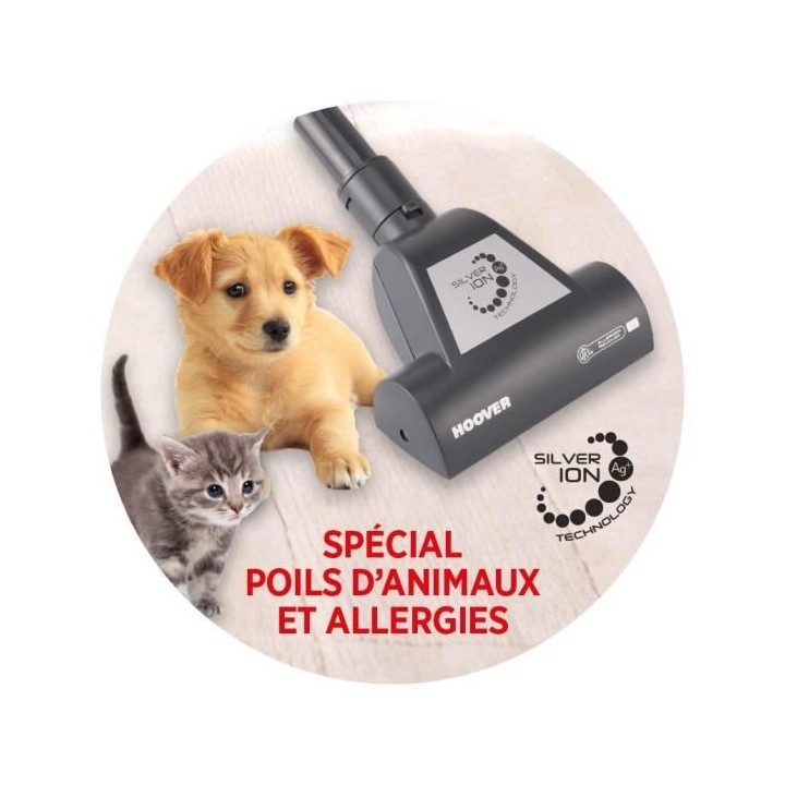 HOOVER REACTIV RC81_RC2P, Aspirateur Traineau Puissant 800W Filtre Lav