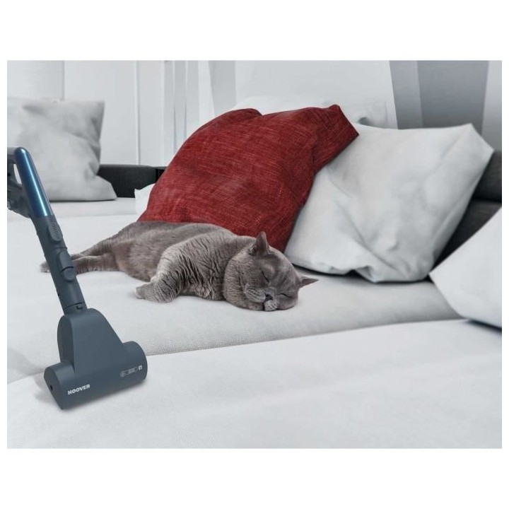 HOOVER TX60PET, AspirateurTraîneau sac, Puissant 700 W Silencieux 62d