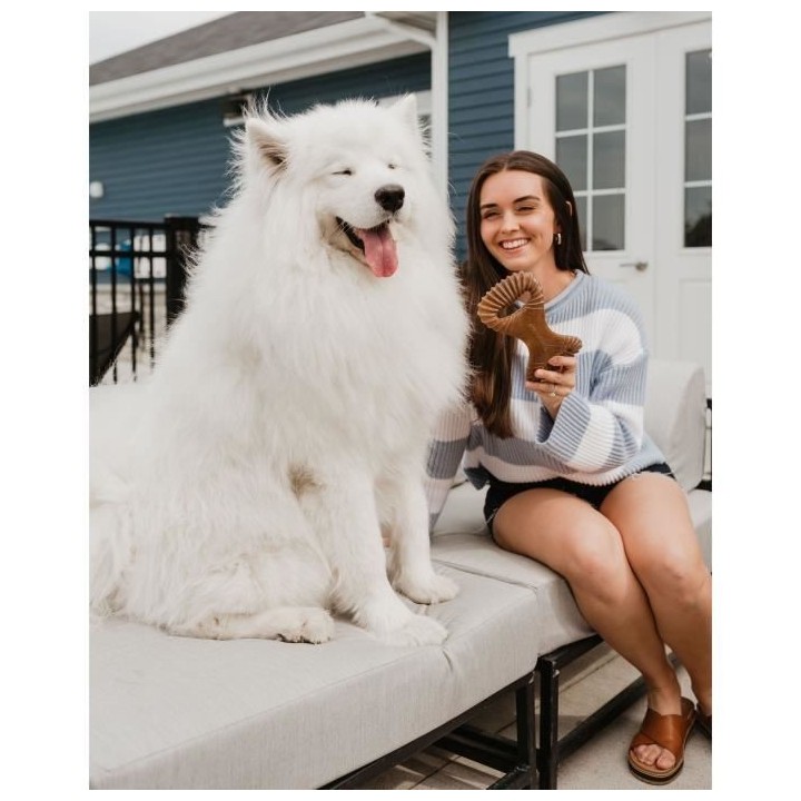 Benebone - Jouet a mâcher dentaire pour chien adulte, Taille M, saveu