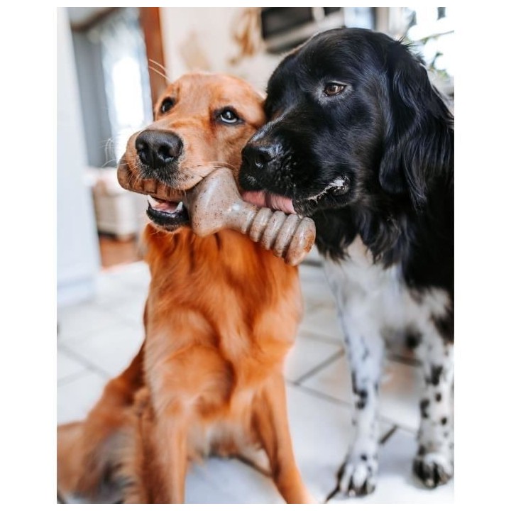 Benebone Puppy Lot de 2 Jouets a mâcher pour chiots durables saveur b