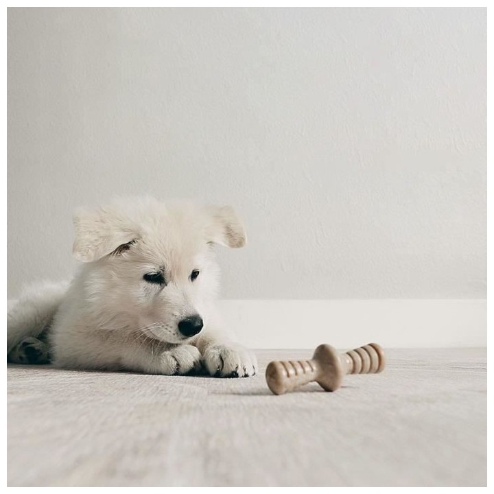 Benebone Puppy Lot de 2 Jouets a mâcher pour chiots durables saveur b