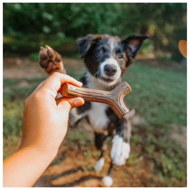 Benebone Puppy Lot de 2 Jouets a mâcher pour chiots durables saveur b