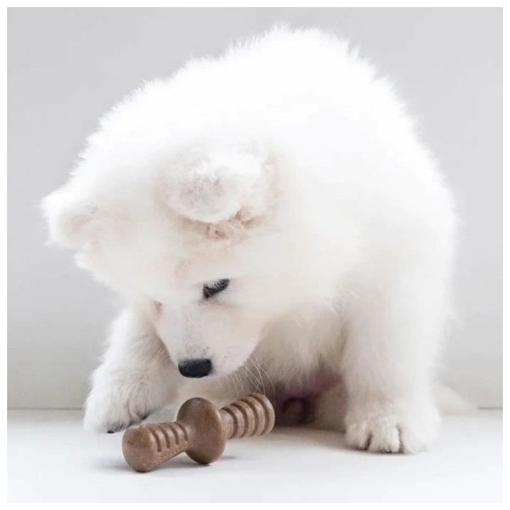 Benebone Puppy Lot de 2 Jouets a mâcher pour chiots durables saveur b