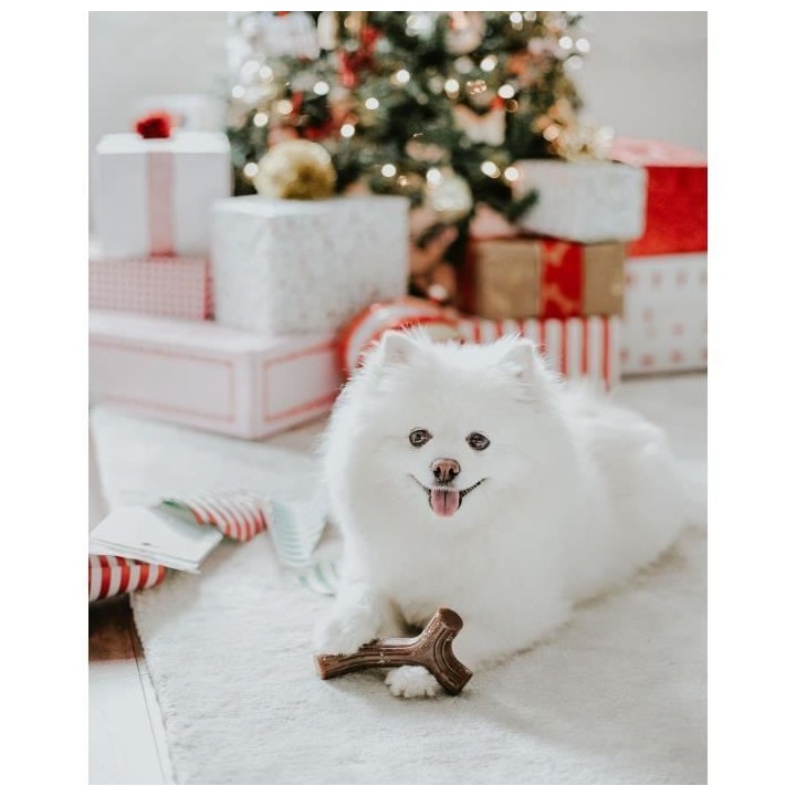 Benebone Lot de 2 jouets a mâcher pour petits chiens