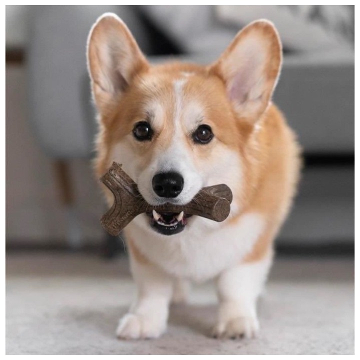 Benebone Lot de 2 jouets a mâcher pour petits chiens