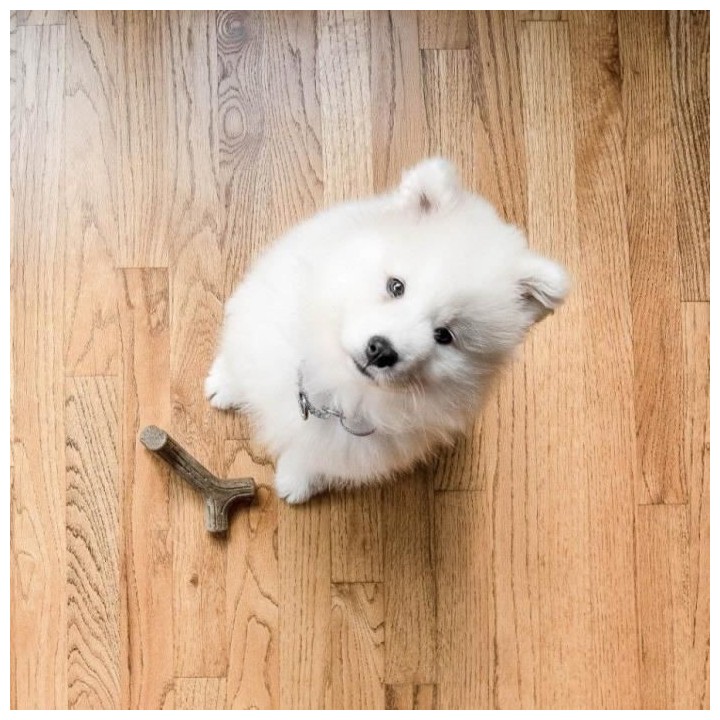 Benebone Lot de 2 jouets a mâcher pour petits chiens