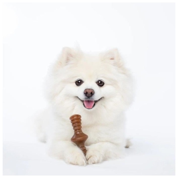 Benebone Lot de 2 jouets a mâcher pour petits chiens