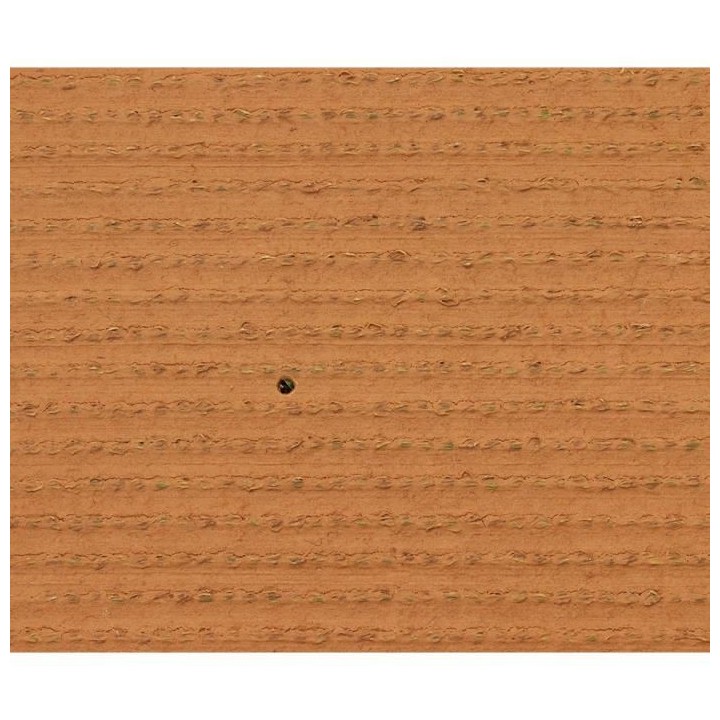 Gazon - EXELGREEN - 124414 - Natura 2D - 38mm / 1 x 5 m