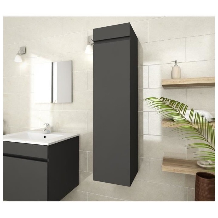 LUNA Colonne de salle de bain L 25 cm - Gris mat