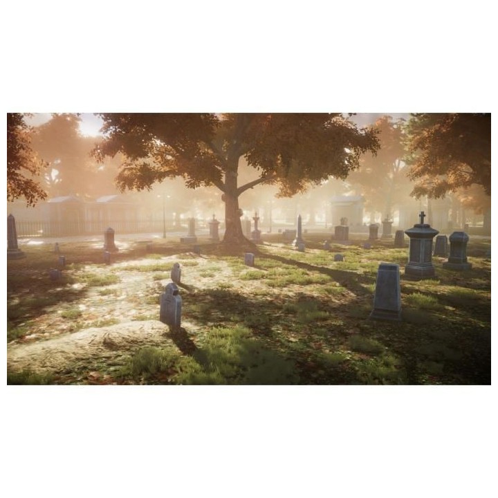 Blacksad Under The Skin - Jeu PS5