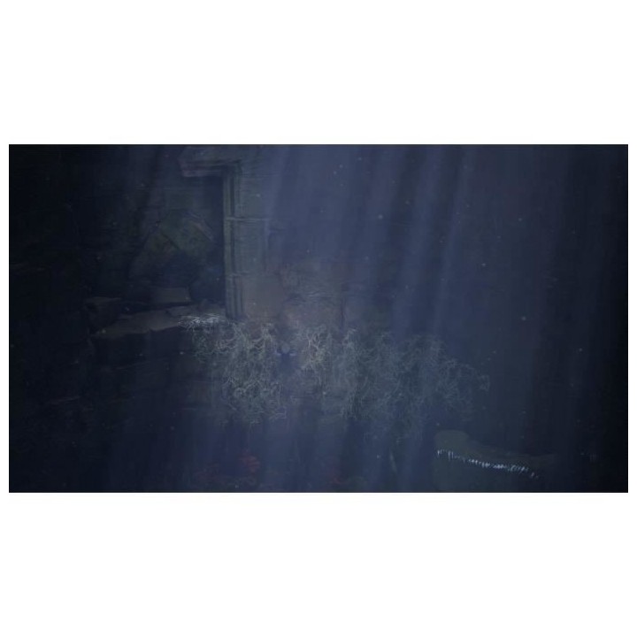 Bramble The Mountain King Jeu Nintendo Switch