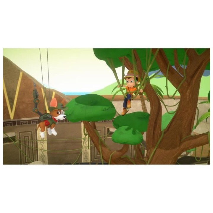 Pat' Patrouille : La Super Patrouille sauve la grande vallée Jeu Nint