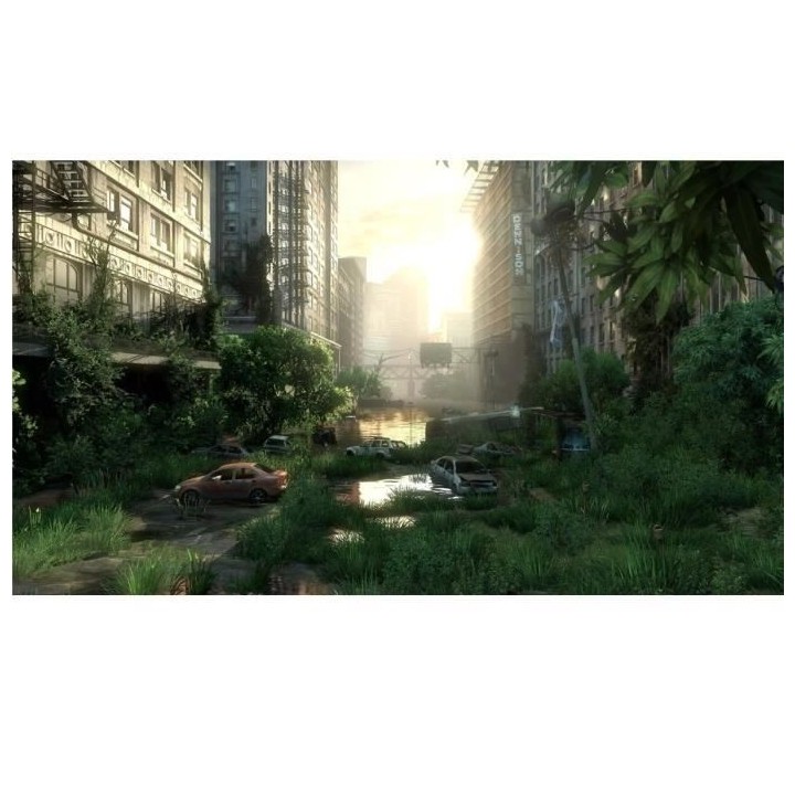 The Last of Us Remastered PlayStation Hits Jeu PS4